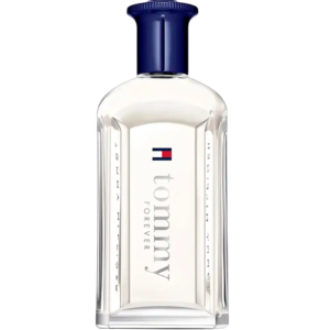 Tommy Hilfiger, Forever, Eau De Toilette, For Men, 100 ml